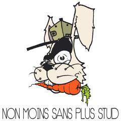 Non Moins Sans Plus Stud