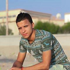 user19733394