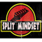 split_mindset