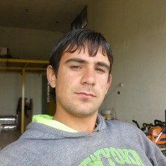 احمد الشامي