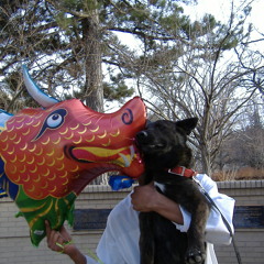 Acid Turbo Jak (303)