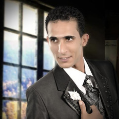 bassem fekry