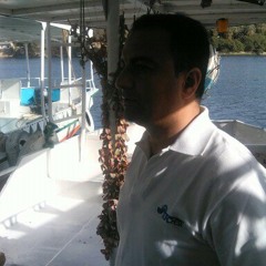 elsayeghmohamed