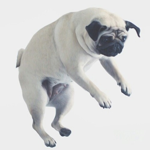 Backnumber-助演女優症