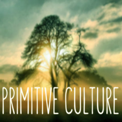 Primitive Culture