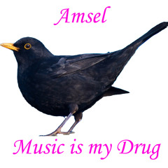 Amsel