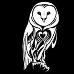 The Barn Owls