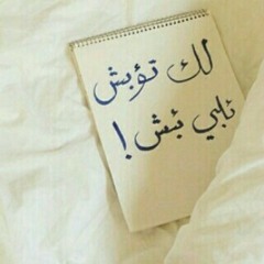 شيلات