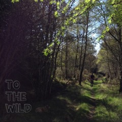 TO THE WILD