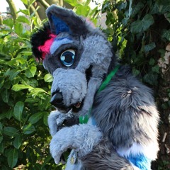 Ace Wolf