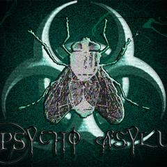 Psycho_Asylum
