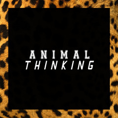 Animal thinking