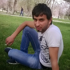 tareq alagha