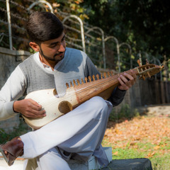 Yousafzai Zwaan