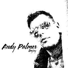 Andy Palmer DJ