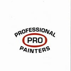 professionalpropainters