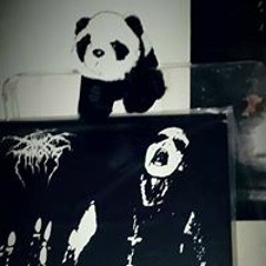 Steven Carrion Smith