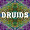 Druids