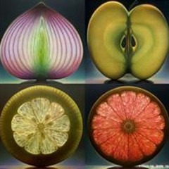 Agatha-Lauretha Anni