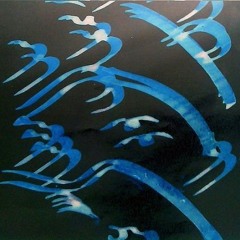 Mohammad Hashemi 121