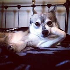 Cristina Isabel Buritica