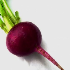 Zesty_Beets
