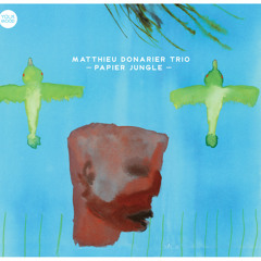 Matthieu Donarier Trio