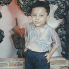 Arch Ahmed Max