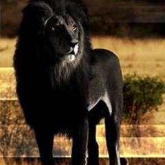 Geo Bahai Ahku Similah