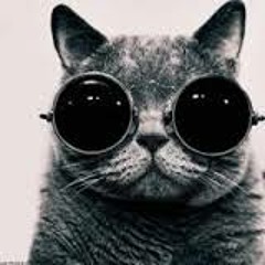 Ravecatz