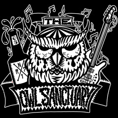 The Owl Sanctuary