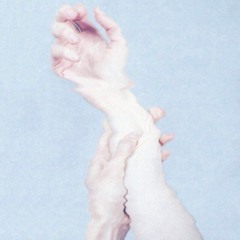 F.Echoes