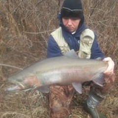 Bailey Brazier-Shurtliffe