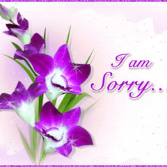 i'm sorry