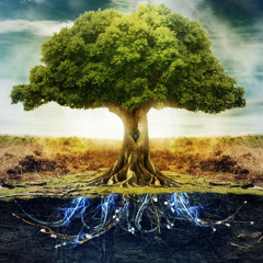 Tree Of Live