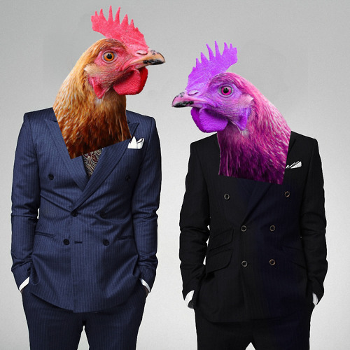 Слушать песню куры. Что такое трека с курицей. Курица в одежде фото. Песня про курицу. Мелодия куры.