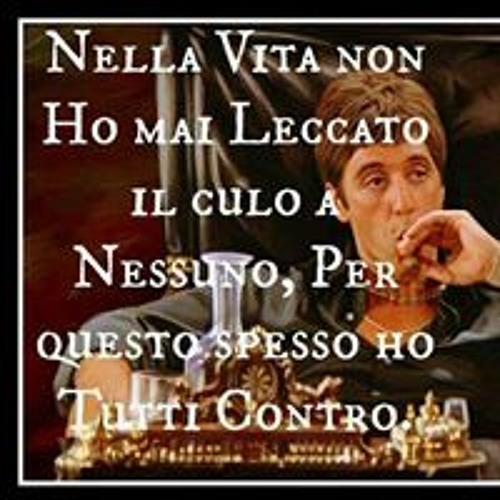 Stefano Treccani’s avatar