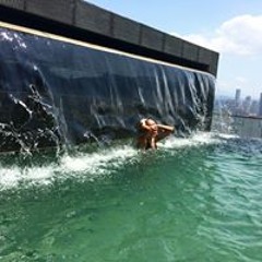 Bibinur  Nurmukhanbetova