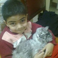 Ahmed Elkholy