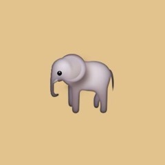 Eccentric Elephant