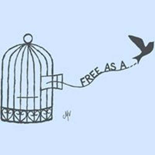 Stream tnt-im-dynamite music | Listen to songs, albums, playlists for ...