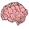 BROCA