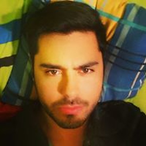 Maximiliano Rodrigo Araya’s avatar
