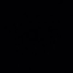 Peggy Vrielink-Thomassen