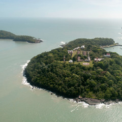 Champagne aux Fruits