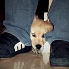 Adrián Rodríguez Jiménez