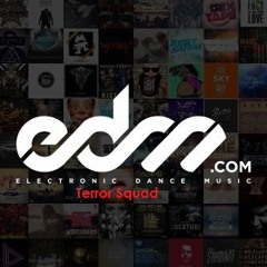 Terror Squad - EDM.com