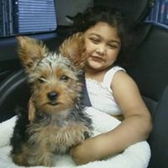 Pinky N Darshanprashad