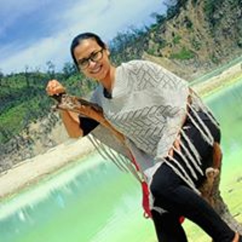 Normayanti Danar’s avatar