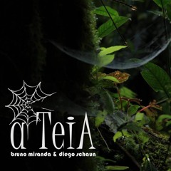 A Teia